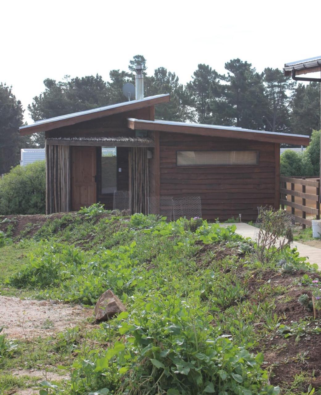 Cabañas Grulla Pichilemu Exterior foto
